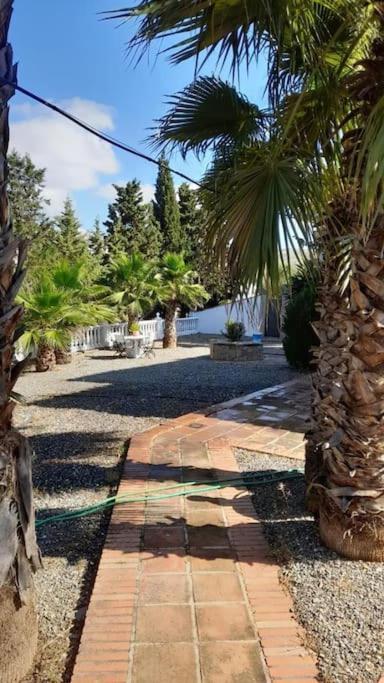 Valle de Abdalagís Charming House With Pool & Barbecue 빌라 외부 사진